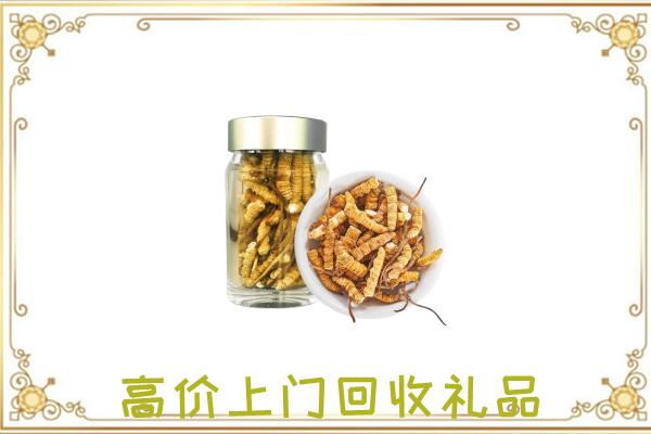 敖汉周边回收虫草